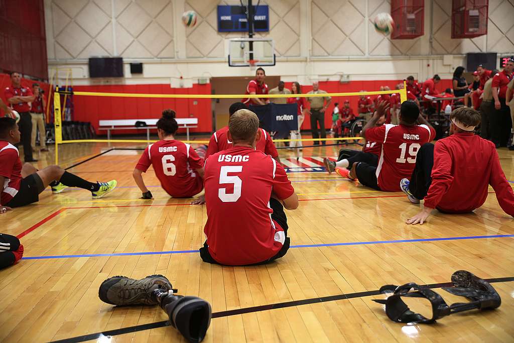 Sitting Volley
